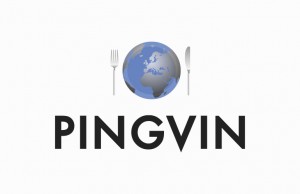 Read more about the article PINGVIN